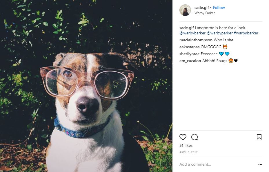 Warby Parker dog with glasses