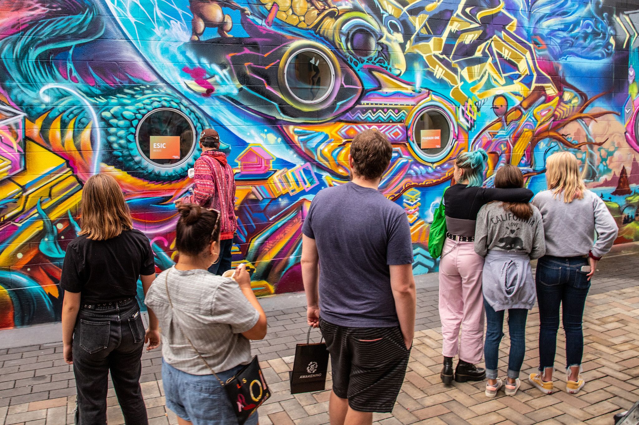 CRUSH Walls 2019 Where Art is Made EDENS